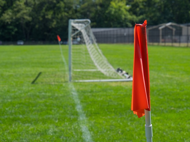 认为政府某 认为政府某