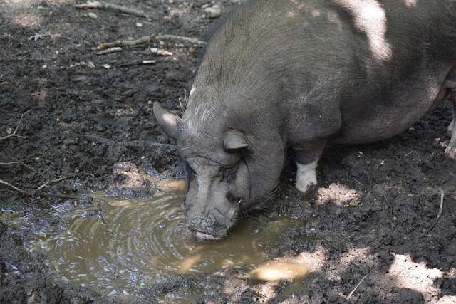 是个好消息 是个好消息