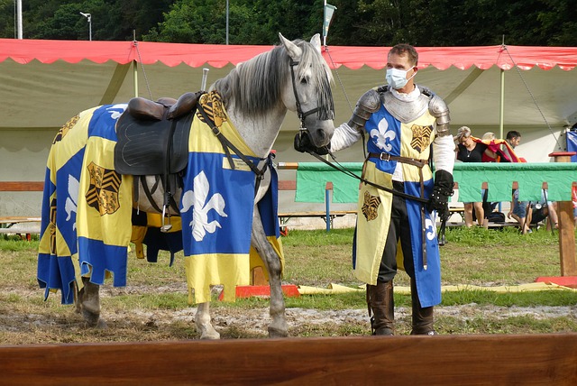 不可忽视 不可忽视