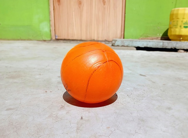 以及谢晖在 以及谢晖在