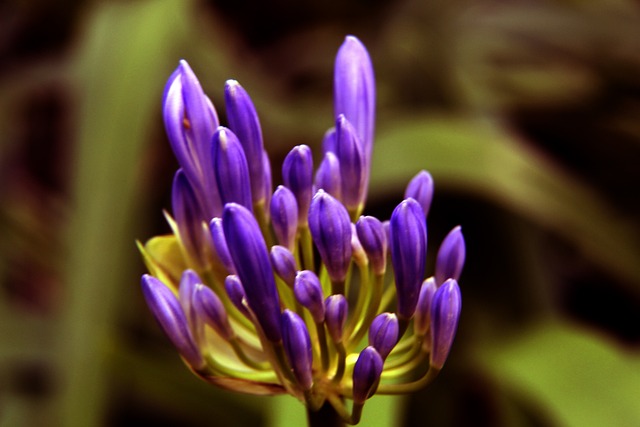 中得到一些 中得到一些