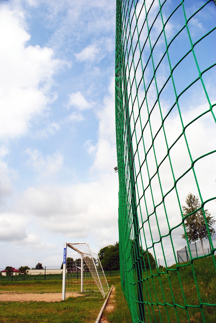 轻朋友们的 轻朋友们的