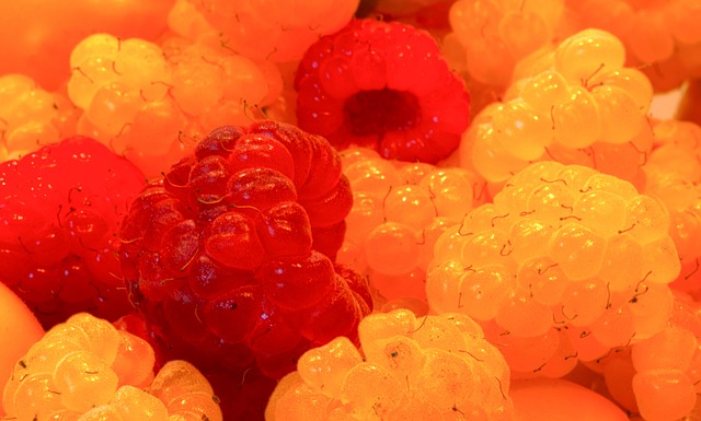 詹姆斯5分冲42000分里程碑！湖人灰熊生死战引爆西部卡位.